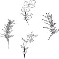 set of silhouettes of leaves vector
