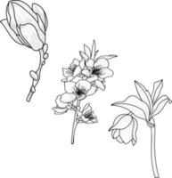 hand drawn sketch of flowers vector