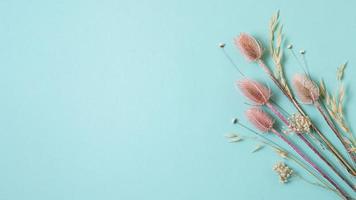 Dried plants with copy space photo