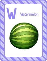 Alphabet flashcard with letter W for Watermelon vector