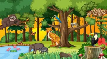 bosque al atardecer escena con diferentes animales salvajes vector