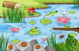 Pond scene with many green frogs vector