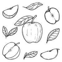 set hand drawn apple vector