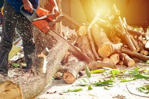 Hands of worker cutting the log by chainsaw machine with sawdust splashing around. Motion blurred of sawing chainsaw photo