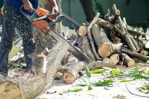 Hands of worker cutting the log by chainsaw machine with sawdust splashing around. Motion blurred of sawing chainsaw photo