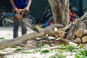 Hands of worker cutting the log by chainsaw machine with sawdust splashing around. Motion blurred of sawing chainsaw photo