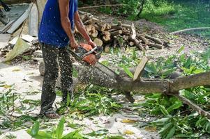 Hands of worker cutting the log by chainsaw machine with sawdust splashing around. Motion blurred of sawing chainsaw photo