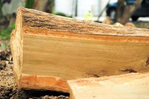 Close up of the surface of a log while being sawed in a factory with sawdust photo