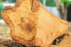 Close up of the surface of a log while being sawed in a factory with sawdust photo