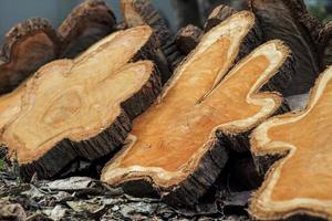 Close up of the surface of a log while being sawed in a factory with sawdust photo