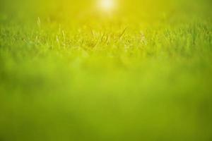 Abstract texture and background of grass meadow and field with selective focus area photo