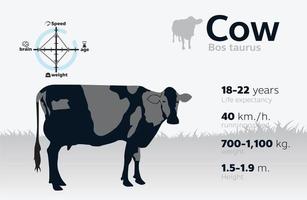 Ilustración de información de vaca en un vector de fondo 10
