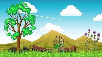 Jungle Background Stock Video Footage for Free Download Jungle Background Stock Video Footage for Free Download
