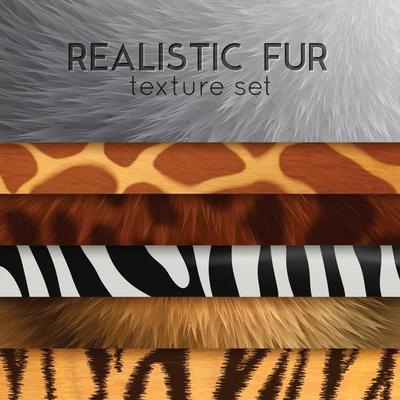Fur Texture Horizontal Elements Vector Illustration