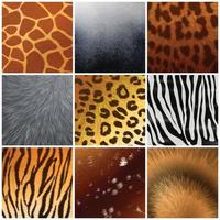 Fur texture Reailstic Set Vector Illustration