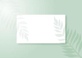 display background with plant shadow overlay 0503 vector