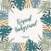 tropical modern background with with monstera and palm leaves vector