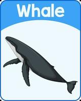 tarjeta de palabra inglesa educativa de ballena vector