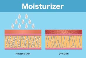 Moisturizer and dry skin and healthy skin vector