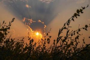 The sky background in the setting sun photo