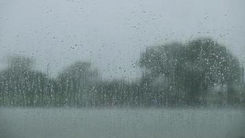 goutte de pluie sur la fenêtre en verre video