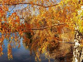 Deschutes River Colors at Pioneer Park Bend, OR photo