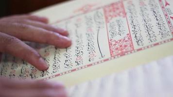 Praying Reading Quran Mosque video