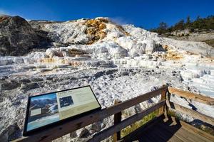 Palette Springs. Devils thumb at the Mammoth Hot Springs. Yellowstone National Park. Wyoming. USA. August 2020 photo