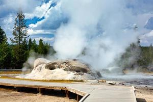 Grotto Geyser at the Yellowstone National Park. Wyoming. USA. August 2020