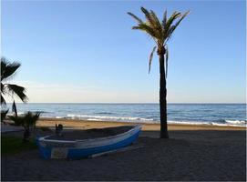 A palm tree, a boat and the sea photo