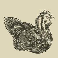 Hen hand drawn illustration. Poultry, broiler, farm animal minimalist concept. Badges and design elements for the chicken manufacturing. Vector illustration  in vintage engraving or etching style