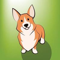 Cute Cartoon Vector Illustration of a corgi dog It is standing