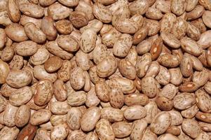 Close-up of pinto beans photo