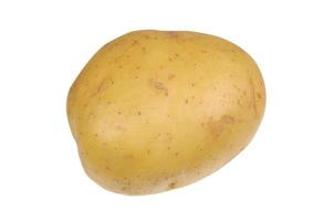 Golden potato on a white background photo
