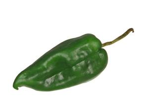 Green poblano pepper photo