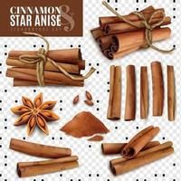 Cinnamon Star Anise Transparent Set Vector Illustration