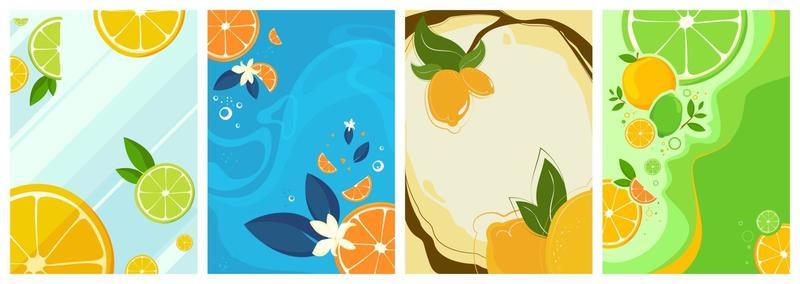 Collection of citrus fruit posters