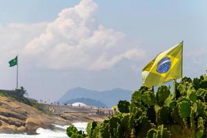 Bandera de Brasil al aire libre por encima de un árbol de cactus en una playa en Río de Janeiro. foto