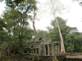 Ruinas de Angkor Wat en Siem Reap, Camboya foto