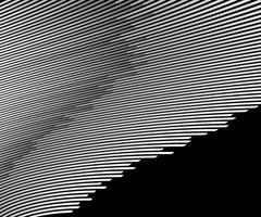 Abstract warped Diagonal Striped Background curved twisted slanting waved lines design vector