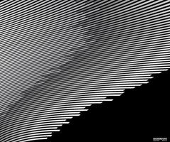 Abstract warped Diagonal Striped Background curved twisted slanting waved lines design vector