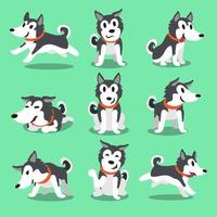 personaje de dibujos animados poses de perro husky siberiano vector