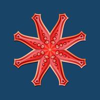 este es un mandala poligonal geométrico rojo en forma de estrella de mar vector