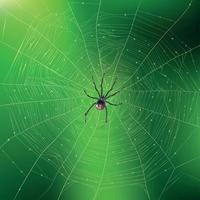 Spider Weaving Its Web Realistic Background Vector Illustration