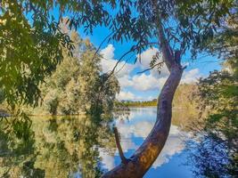 Athalassa Lake, Cyprus with beautifully lit water, and trees on a beautiful sunny afternoon photo