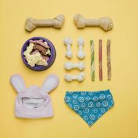 Set of dog food and clothes on yellow background
