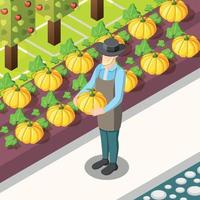 Organic Food Isometric Background Vector Illustration