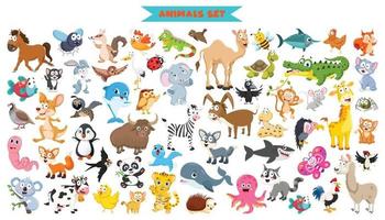 colección de animales divertidos dibujos animados vector