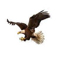 Retrato de un águila calva de un toque de acuarela boceto dibujado a mano ilustración vectorial de pinturas vector