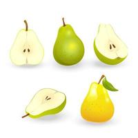 Set of realistic pears vector